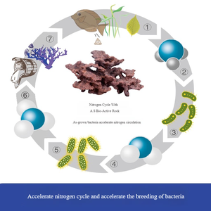 Onregelmatig gevormde landschapsrotsen voor zeewater-koraal aquariums, algenbloeivrije kunstmatige levende rotsen, P-rotsen, natuurstenen - Product Image 4