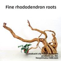 Décoration d'aquarium en bois : sélection de racines de rhododendron pour aménagement aquatique