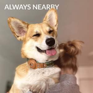 Collar de Lujo para Perro con Soporte de Cuero Reflectante para Apple AirTag, Diseño de Logotipo Personalizado, Ajustable y Duradero para Perros y Gatos - Product Image 6