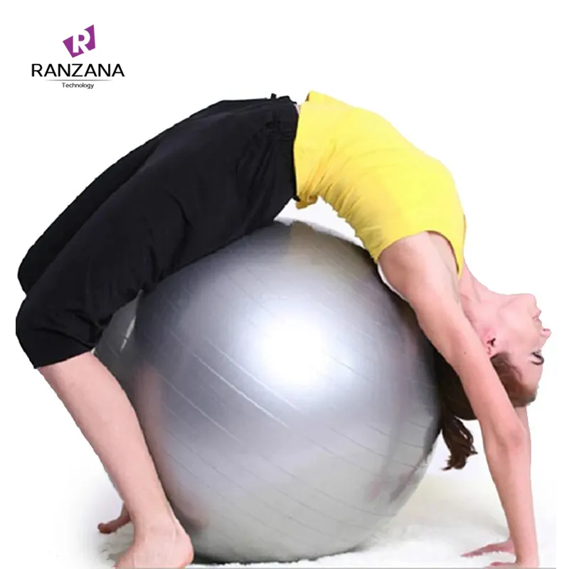 Custom 65cm PVC Yoga Ball Thickened Stability Exercise Ball Pilates Barre Physical Fitness Yoga Ball