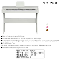 Portable 61-Keys Professional Upright Music Keyboard Multifunction Digital Electronic Piano Plastic Material Electric Organ Type
