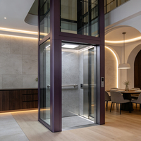 Ascenseur hydraulique pour passagers de 2 à 4 étages, couleur personnalisée pour une utilisation en villa résidentielle intérieure et extérieure