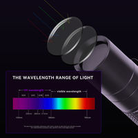 Senter Mini UV China untuk Hewan Peliharaan dengan logo, Senter LED UV 365nm dengan Lensa Hitam