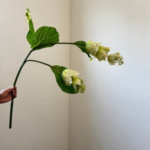 Flor Artificial Colgante de Medinilla <span class=keywords><strong>Magnifica</strong></span> Rosa de 120 cm para Decoración de Bodas y Hogar - Product Image 1