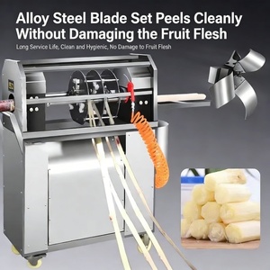 Petite machine à peler la canne à sucre automatique électrique, machine à peler commerciale pour les commerces de <span class=keywords><strong>rue</strong></span> - Product Image 4