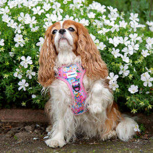 Juego de paseo para perros sin tirones de malla Oxford con logotipo personalizado con estampado de lujo con arnés, correa, collar, soporte para bolsa para caca - Product Image 3