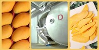 GT Gefreeze-droogde Zoete Mango Knapperige Blokjes 1kg Klaar om te eten