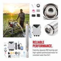 Système de pompe à eau solaire à haut débit de 2 pouces Tête de 80m Submersible 2HP AC DC Difful Forage pour l'agriculture
