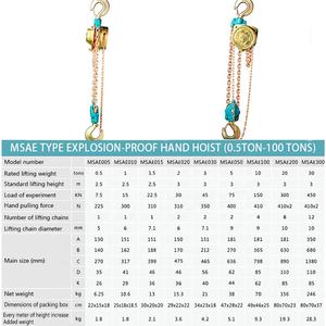 <span class=keywords><strong>MSAE</strong></span> 0.5t-100t Palan à chaîne antidéflagrant Mine de charbon Palan manuel antidéflagrant - Product Image 5