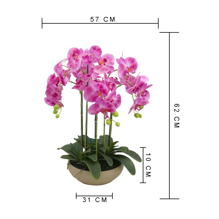 Настольные декоративные растения H62 W57cm real touch vanda, колба с покрытием, силиконовая Орхидея, искусственная, из Таиланда