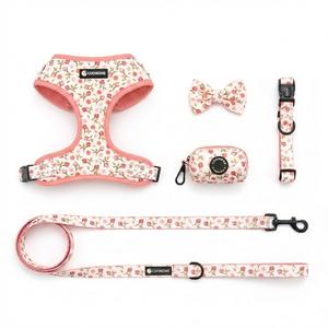 Ensemble de harnais pour <span class=keywords><strong>chien</strong></span> en néoprène, <span class=keywords><strong>laisse</strong></span> <span class=keywords><strong>et</strong></span> collier personnalisés imprimés par sublimation, harnais <span class=keywords><strong>et</strong></span> <span class=keywords><strong>laisse</strong></span> réglables pour animaux de compagnie - Product Image 2