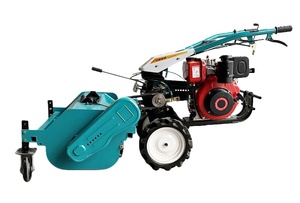<b>Walk</b>-Behind Lawn Mower: Small-Sized <b>Machine</b> with Grass Shredding Capability - Product Image 3