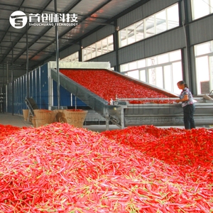 Công nghiệp khô Ớt hạt tiêu sấy dây chuyền chế biến với lưới vành đai máy sấy Ớt cuống cắt và hạt giống Loại bỏ máy - Product Image 4