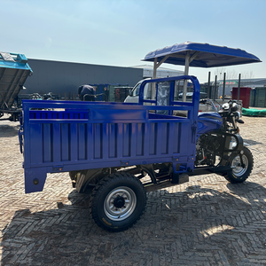 Triciclo Económico <span class=keywords><strong>de</strong></span> 150cc con Toldo para el Transporte <span class=keywords><strong>de</strong></span> Pequeñas Cargas - Product Image 3