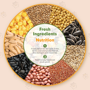 Nobleza 500g cibo Premium criceto integratore sano e gustoso per criceti nani e topi cura della salute degli animali domestici - Product Image 3