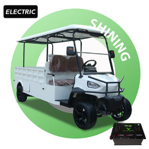 Voiture de <span class=keywords><strong>golf</strong></span> électrique personnalisable Shininglsv à 2 places, 72V, construction en métal à plateau plat, moteur AC 5KW, autonomie de 70 à 90 km, certifiée CE/DOT - Product Image 2