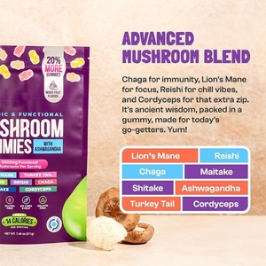 Niet-Gmo Super Champignon Chaga Maitake Cordyceps <span class=keywords><strong>Reishi</strong></span> Leeuw 'S Manen Kalkoen Hoge Immuunafweer Zorgt Voor Energie-Paddestoelgummies - Product Image 2