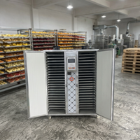 Four de séchage professionnel pour fruits et épices avec boîte de vitesses, capacité de 100-400 kg/h, niveau de sécurité élevé