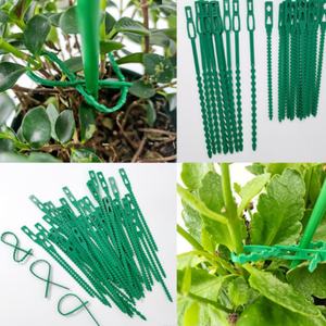 Correas de encuadernación de jardín verde de espina de pescado multiusos, correas de encuadernación de línea de jardín, correas de encuadernación de espina de pescado de jardín - Product Image 3