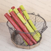 Accessoires de présentation pour la production de sucre, plante artificielle, fruit, faux canne à sucre verte, canne à sucre rouge pour la décoration de magasin
