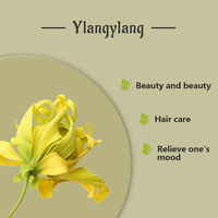 Huile essentielle d'ylang ylang de Madagascar extra pour la fabrication de parfums-Extrait de plante naturelle pure à 100%, huile d'arôme pour diffuseur d'humidificateur