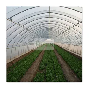Landwirtschaft liche Polyethylen-Temperatur regelung Gewächshaus Solar Grow Tent Single Span Vegetable Automated Greenhouse Systems
