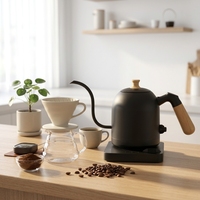 Bouilloire électrique à bec de cygne pour café filtre avec écran LCD, ébullition rapide et fonction maintien au chaud pour thé et café