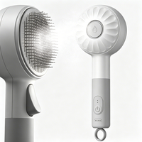 Brosse de toilettage et outil de nettoyage pour animaux de compagnie Petora, portable, électrique, rechargeable, à vapeur, pour enlever les poils de chat et de chien