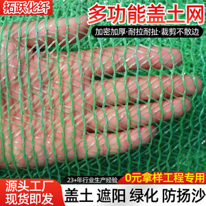 Tuoyue Soil Cover Netting 2 3 4 6 8 Pin Grass Green Anti UV Dust Control For Construction Coal Sand Yards - Product Image 5
