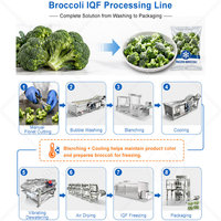ORME Mango Clean Machine Geautomatiseerde productielijn voor het wassen, snijden en sorteren van diepvriesfruit en -groenten