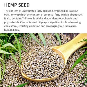 100% Reines Bio-Hanfsamenöl, Unraffiniert und Kaltgepresst, Massage- & Körperöl für Haut, Gesicht, Haare und zur Seifenherstellung, Trägeröl - Product Image 4