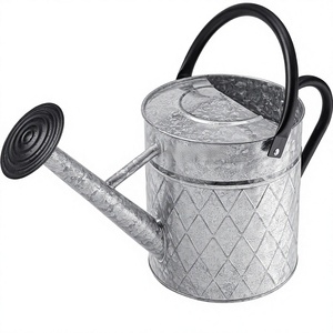 Arrosoir en métal galvanisé avec bec amovible pour les plantes et le jardin Arrosoir durable - Product Image 1