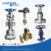 Válvula de Retención de Alta Temperatura Tipo Globo de Acero Cr-Mo Inconel Hastelloy con Brida Tipo Wafer para Medios Corrosivos Neumáticos, Hidráulicos y de Aceite OEM Carter