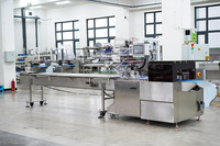 Machine de conditionnement horizontale d'oreiller d'emballage d'écoulement de rouleau de ressort de plateau en boîte avec l'impression de date