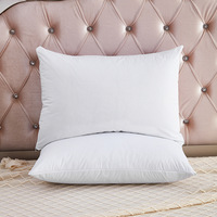 Échantillon gratuit de taie d'oreiller en satin noir Bedsure, taie d'oreiller jetable pour avion