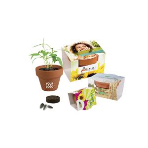 Kit de pot de fleurs circulaire en terre cuite italienne écologique à marque blanche avec graines et terre non enduite pour la plantation en intérieur - Product Image 1
