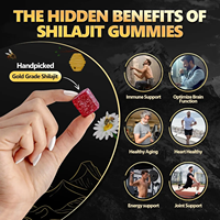 Bonbons Gélifiés au Shilajit de l'Himalaya 100% Pur, Qualité Alimentaire, Marque Privée, Gestion de l'Énergie, Fabrication OEM en Usine