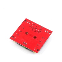 XH-M544 DC 12V 24V 150W TPA3116DA amplificateur de puissance numérique à canal unique, carte d'ampli avec préamplificateur