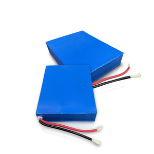 ชุดแบตเตอรี่ลิเธียมโพลิเมอร์ 48V แบบกำหนดเอง รุ่น 1265135-16S2P 51.2V 20Ah สำหรับ - Product Image 6