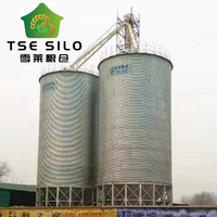 Silo à fond trémie en acier galvanisé pour le stockage de maïs, de soja et de tourteaux de soja pour l'alimentation du bétail et les usines d'aliments pour animaux