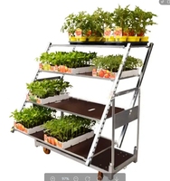 Présentoir en métal personnalisé Bassin de salle de fleurs Type de plancher Multi Viande Rack pour l'affichage