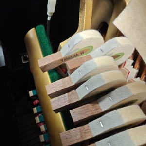 -- Un piano de cola vertical de concierto profesional de nivel Premium <span class=keywords><strong>YUA</strong></span> - Product Image 5