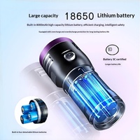 Lampe torche rechargeable en alliage d'aluminium 120W haute puissance à LED UV 365nm pour détection fluorescente, scorpions, chats et teignes
