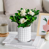 Pot de fleurs créatif auto-arrosant en résine plastique transparente pour petite plante en pot/plante aérienne, style bulle hydroponique