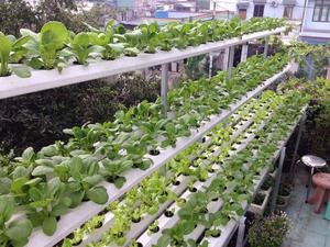 מולטירית מגדל nft מערכת מתלה תרסיס מתלה תרסיס אנכי אנכי אנכי מתלה הידרופונית - Product Image 2