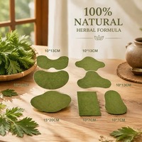Patch Minceur à l'Absinthe, Amincissant Abdominal, Remodelant Corporel, Soutien Détoxifiant, Soulagement de la Douleur, Extrait Naturel, Soins de Santé CE