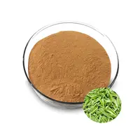 緑茶エキス98% ポリフェノール98% EGCG 80% カテキンl-テニン粉末