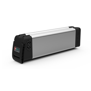 Reention Siver Fish Batterie für Fahrrad 48 V 36V Elektro fahrrad 24V 36Volt 48 Volt Elektro fahrrad Lithium Batterie - Product Image 1