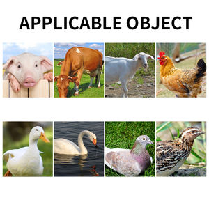 Superventas 100g Aditivos para piensos para pollos Aminoácidos de grado alimenticio <span class=keywords><strong>1</strong></span>:500 Aditivos para aves de corral Aumentan el crecimiento rápido Ganancia de peso para pollos de engorde - Product Image 4