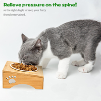 Mangeoire pour animaux de compagnie GL Luxury Elevated Raised Cat Food accessories High Non Slip Bamboo Stand Isolé Double Ceramic Dog Bowl